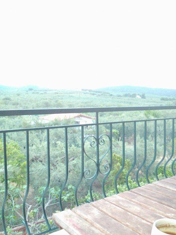 The White Rabbit Guesthouse Eco-Lodge "Cosy Apartment" Psakoudia Exterior foto