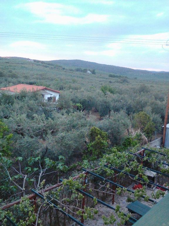 The White Rabbit Guesthouse Eco-Lodge "Cosy Apartment" Psakoudia Exterior foto